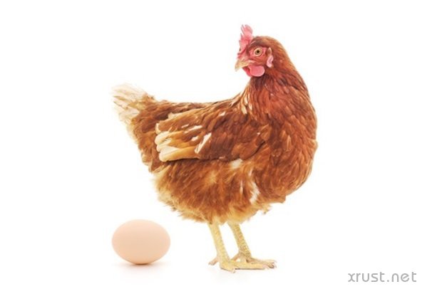   Изобретены лечебные яйца