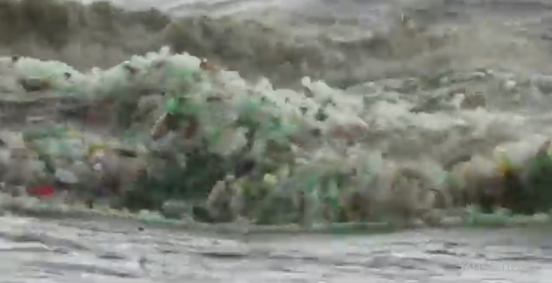 «Пластиковая» волна  обрушилась на Южную Африку